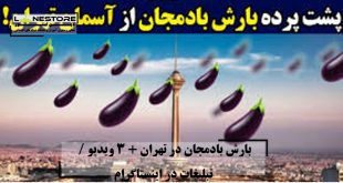 بارش بادمجان در تهران پشت پرده